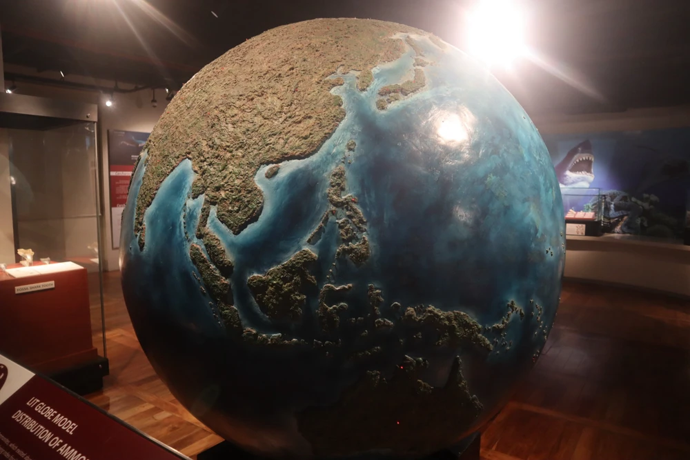 Image uploaded by Diane