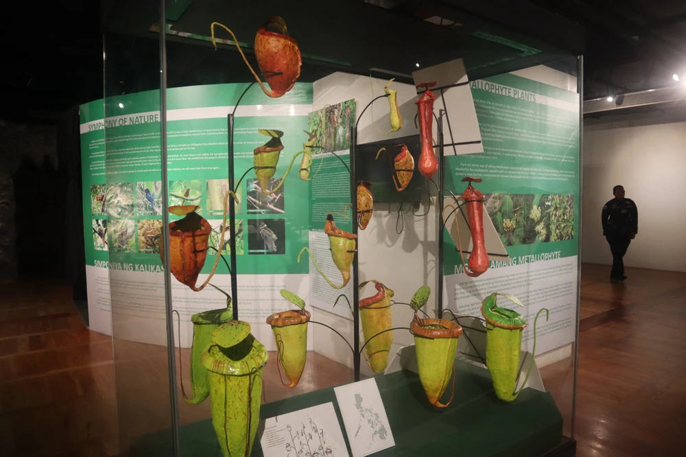 Image uploaded by Diane