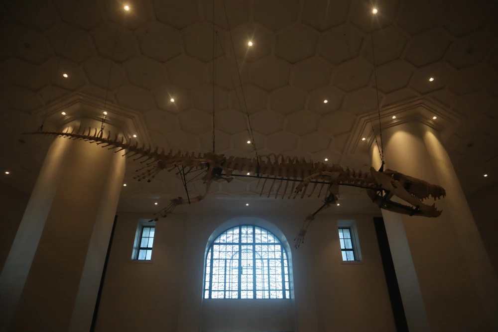 Image uploaded by Diane