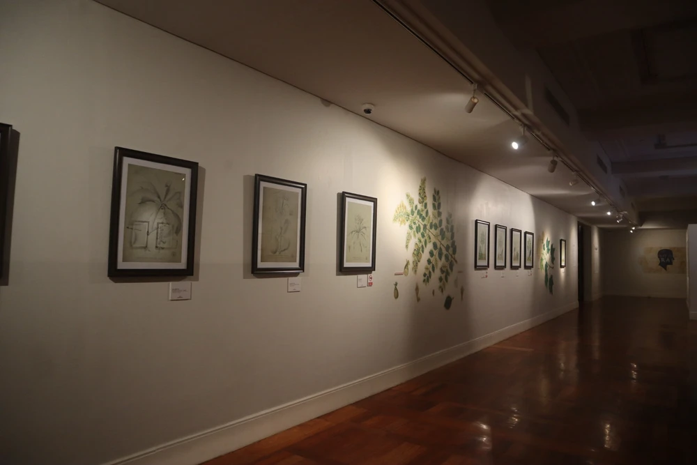 Image uploaded by Diane