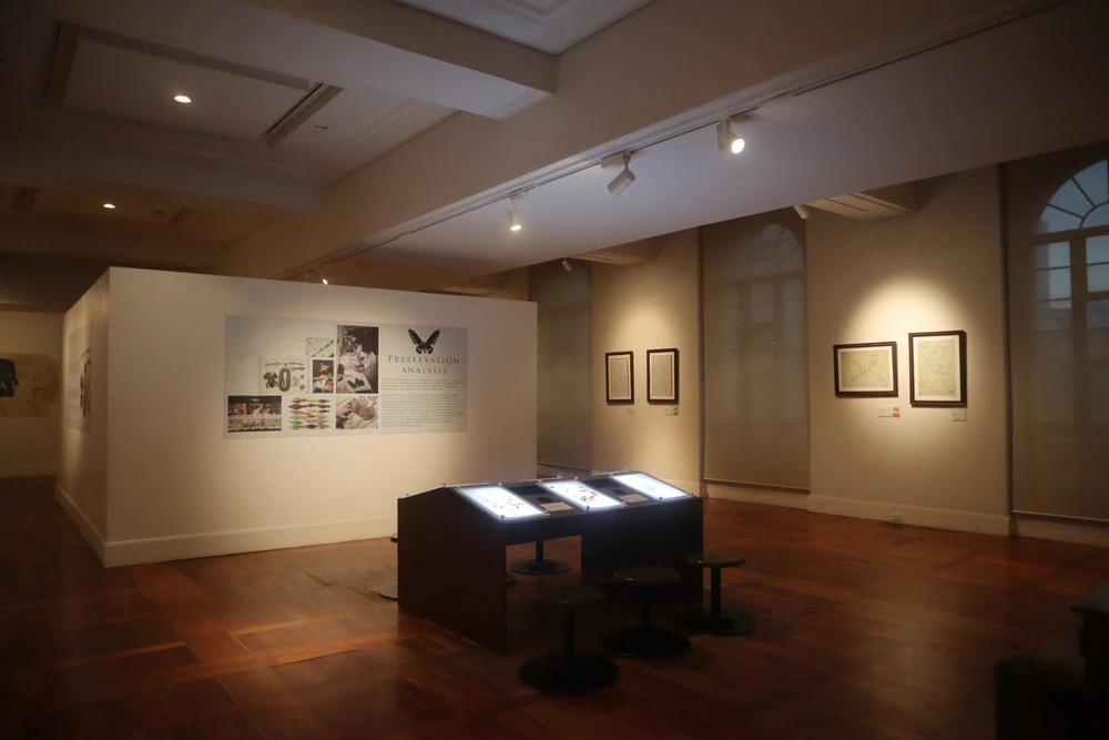 Image uploaded by Diane