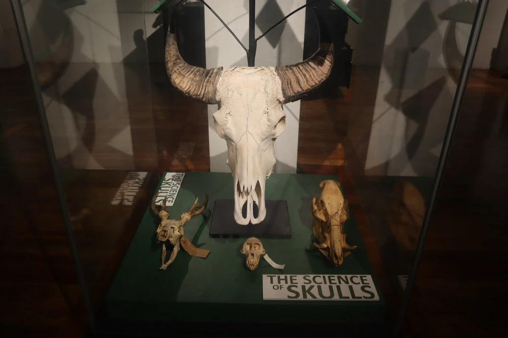 Image uploaded by Diane