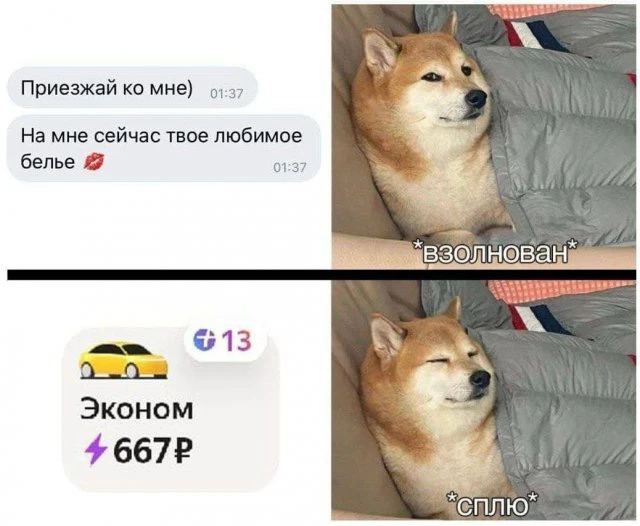 GIF загрузил Casablanca