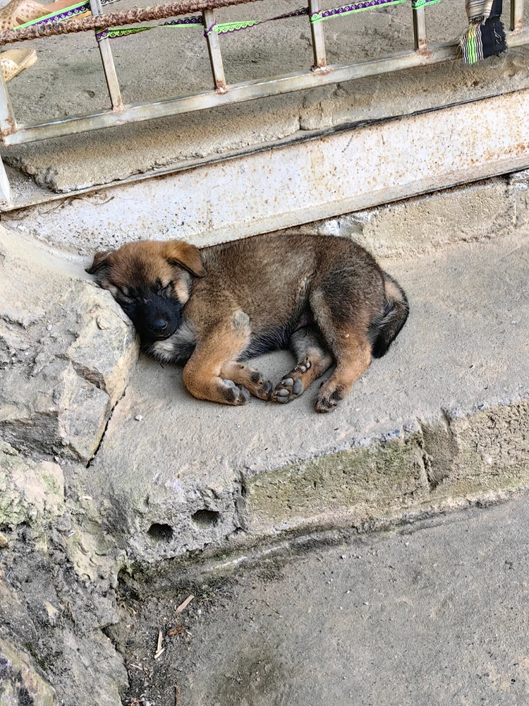 Ảnh do Ruby tải lên