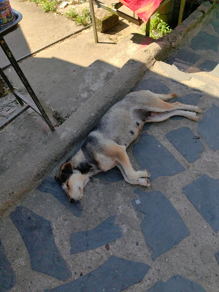 Ảnh do Ruby tải lên