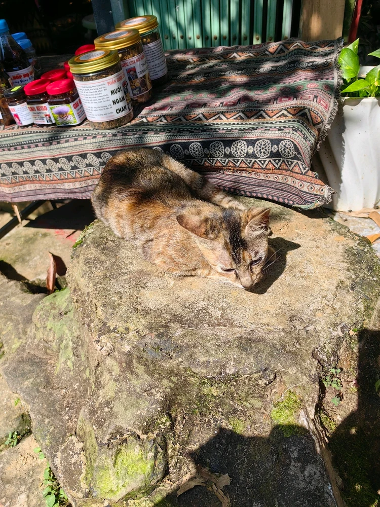 Ảnh do Ruby tải lên