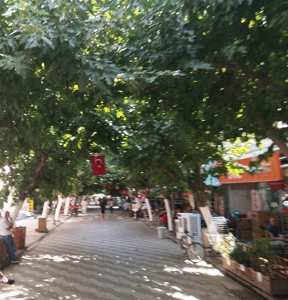 NAÇ tarafından yüklenen görsel