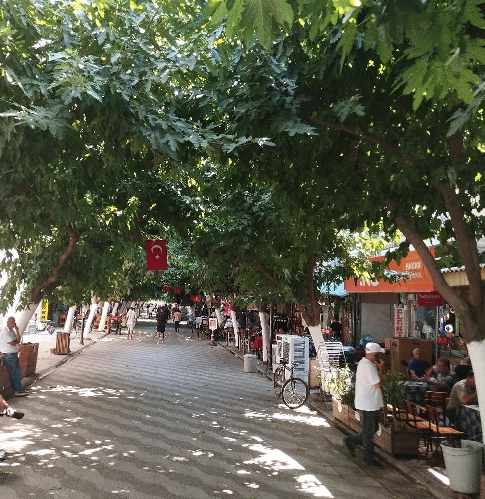 NAÇ tarafından yüklenen görsel