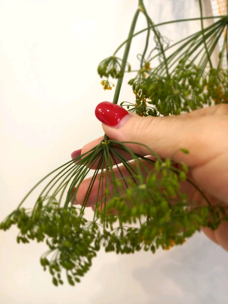 Фото загрузил Герда