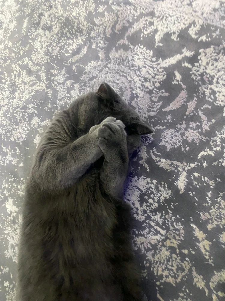 Gece tarafından yüklenen görsel