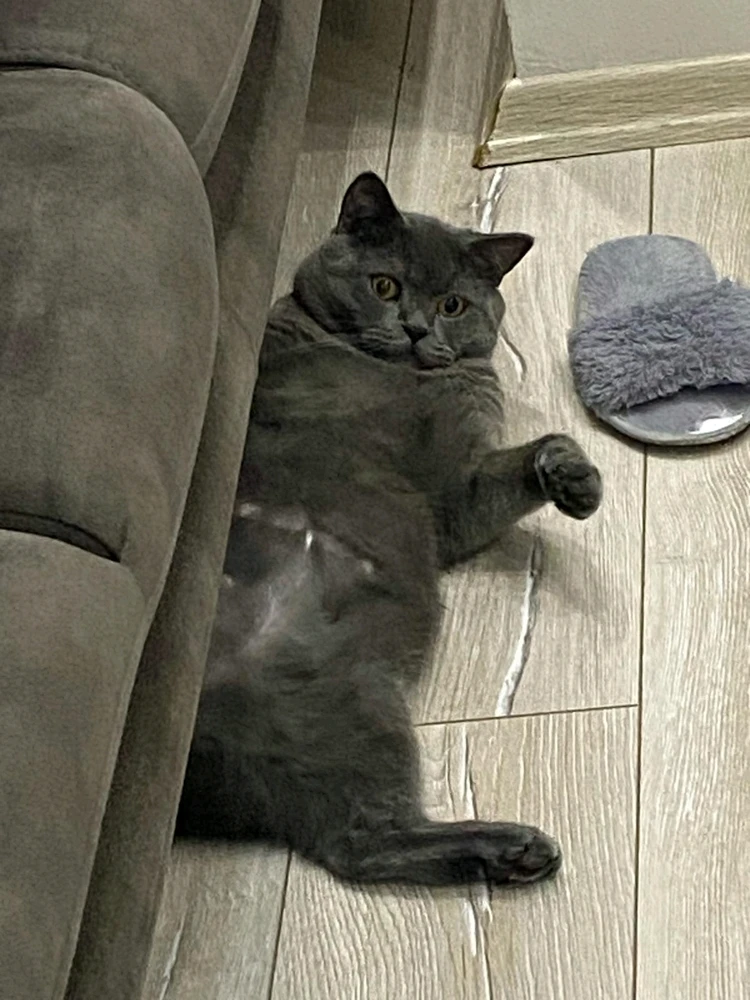 Gece tarafından yüklenen görsel