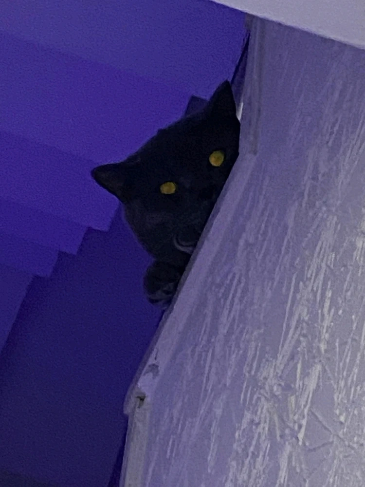 Gece tarafından yüklenen görsel