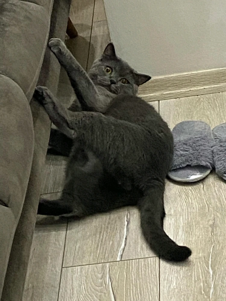 Gece tarafından yüklenen görsel