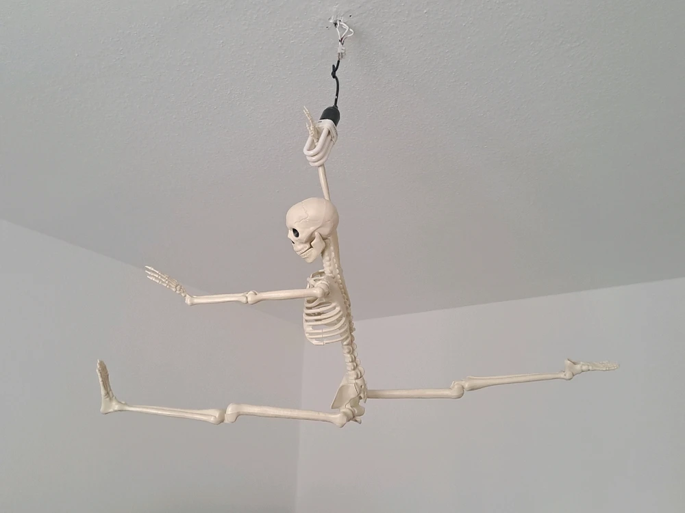 Bruno und ich Teil 8