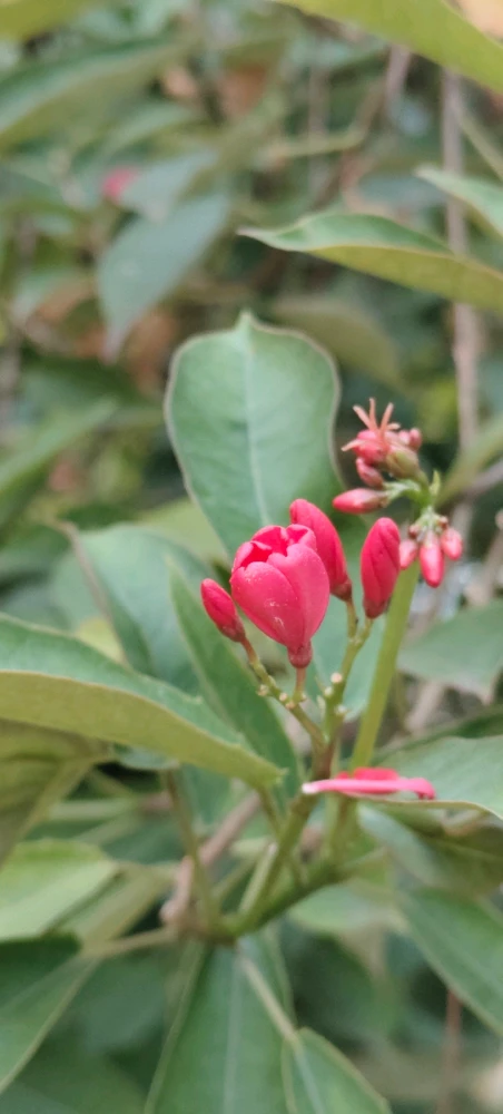 GIF uploaded by Esha