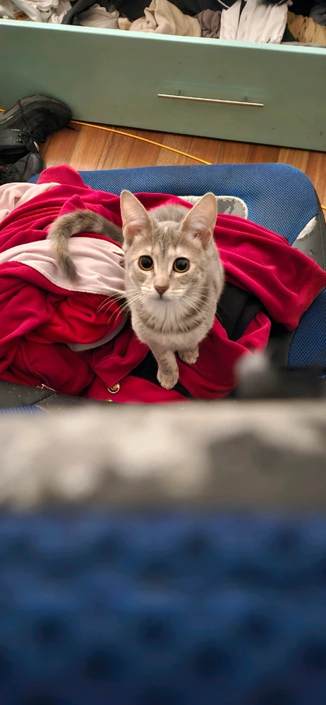 Imagen subida por Jhersvin