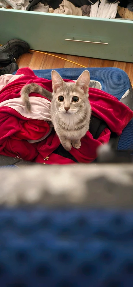 Imagen subida por Jhersvin