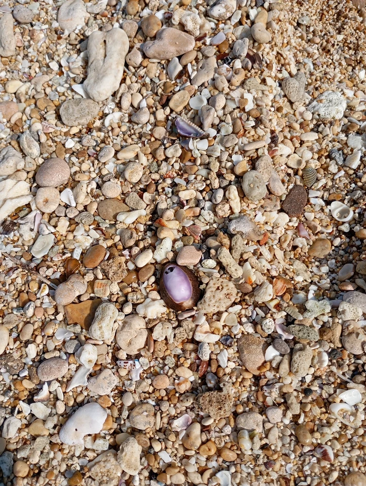 Gambar diunggah oleh Intan