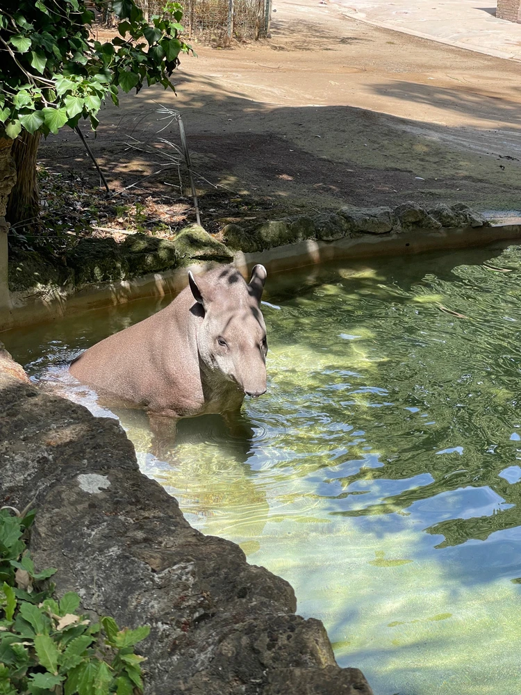 GIF caricata da Vincenzo