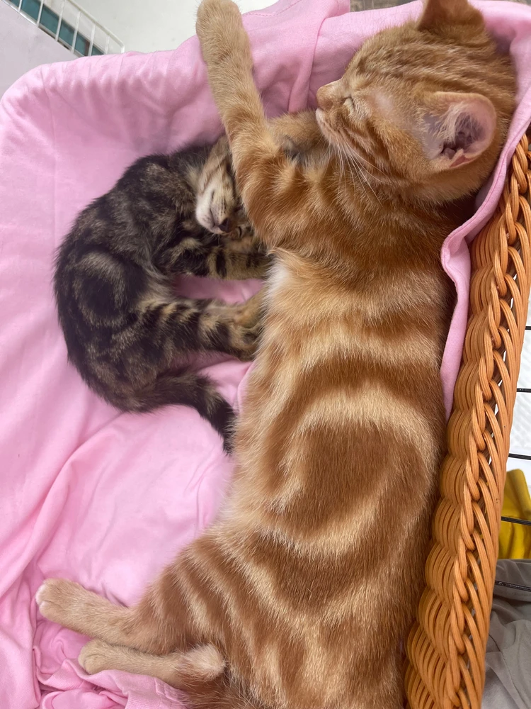 GIF uploaded by Sandra