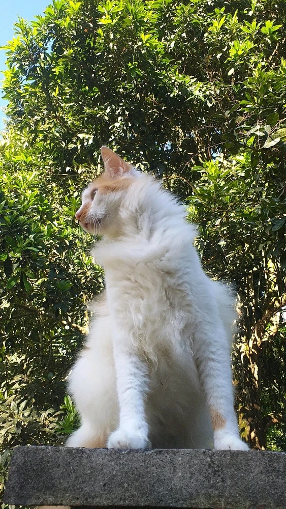 GIF subido por Jersel Santiago