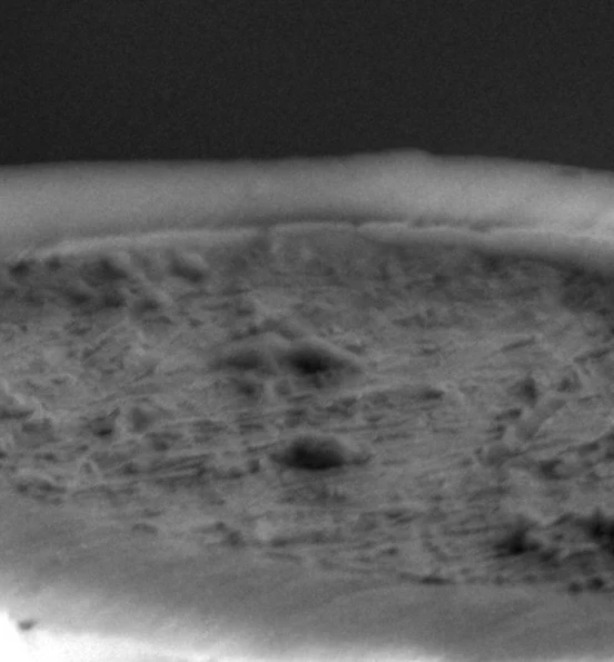 Image uploaded by Ban me from this disgusting app