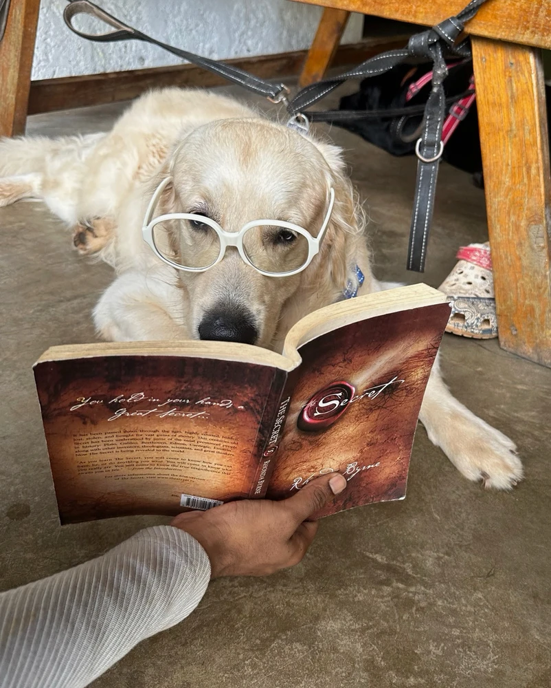 GIF uploaded by Anish