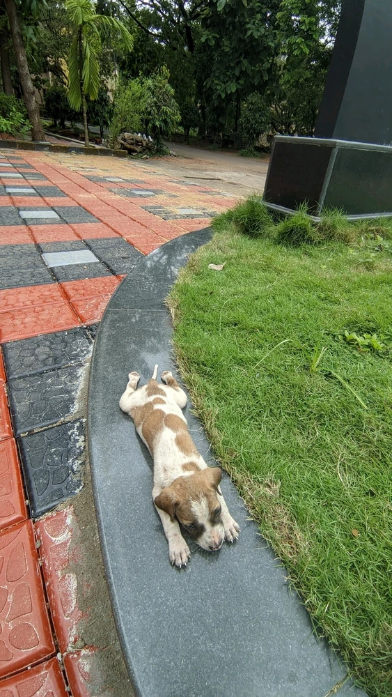 Image uploaded by Samudra