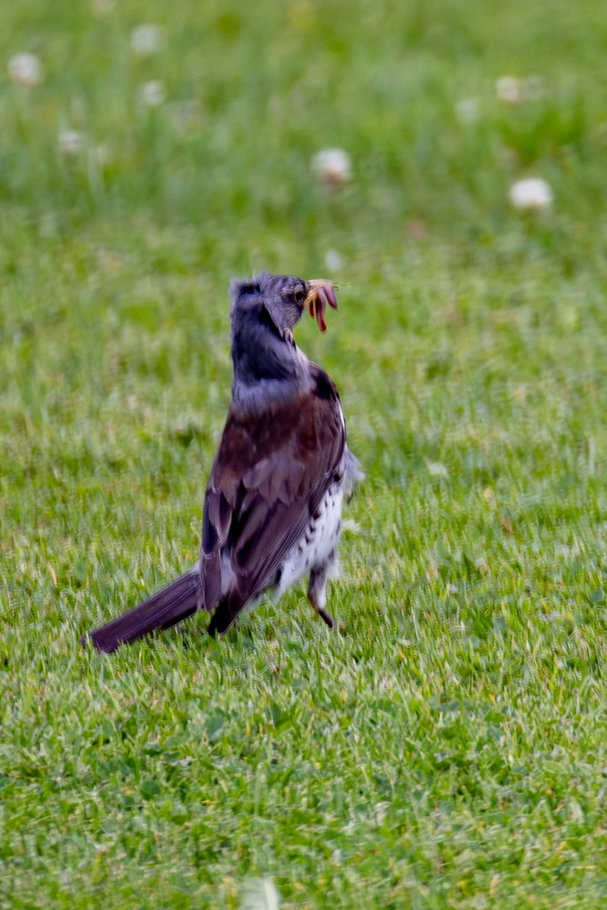 Bild hochgeladen von Joschi