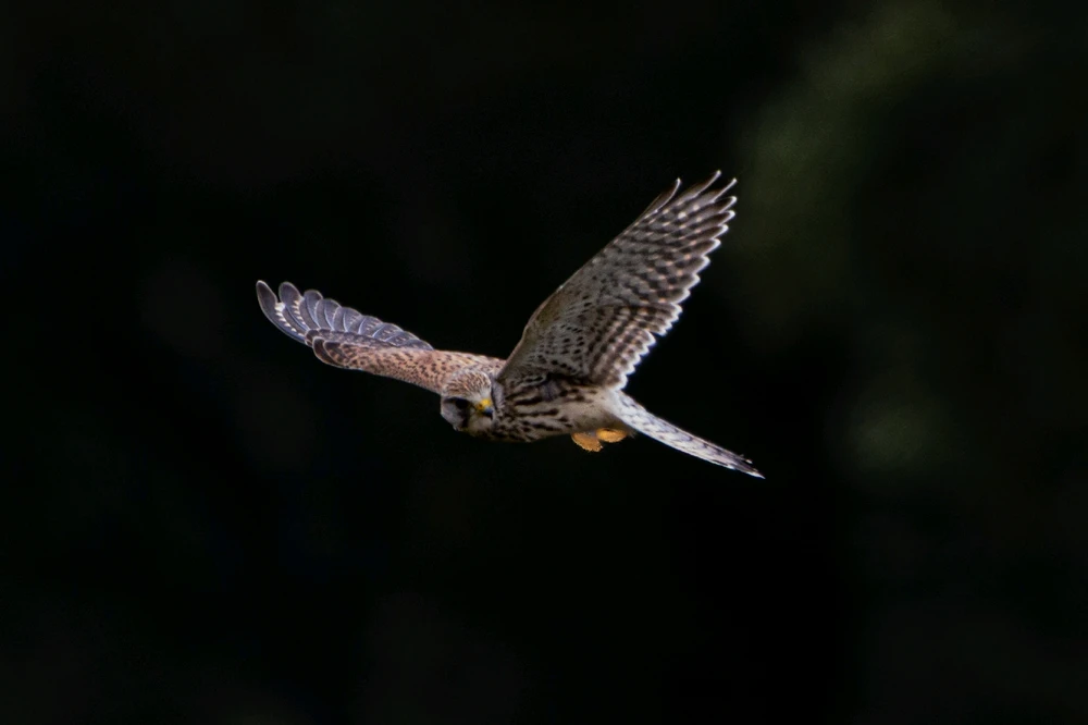 GIF uploaded by Jack