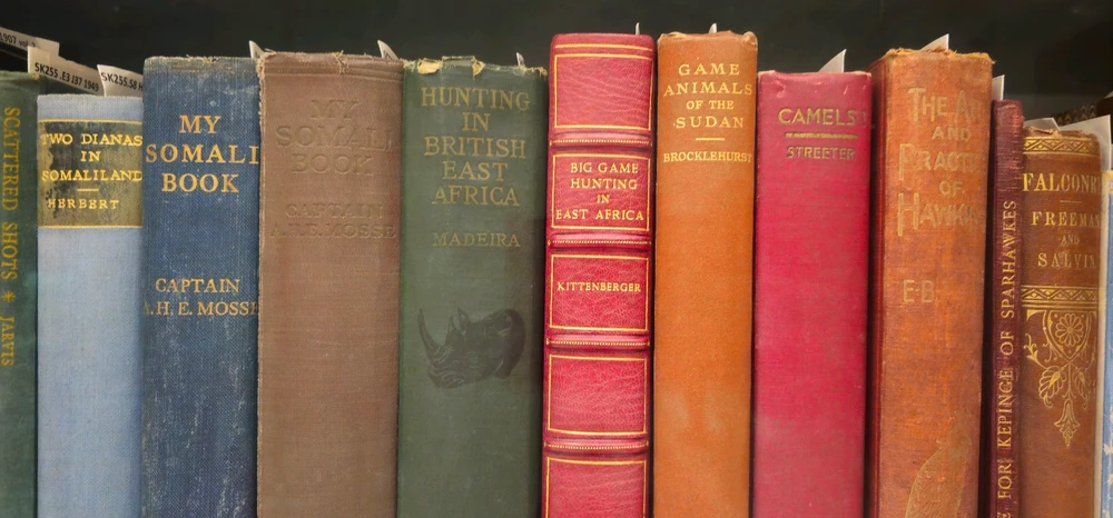 Image uploaded by Sachil