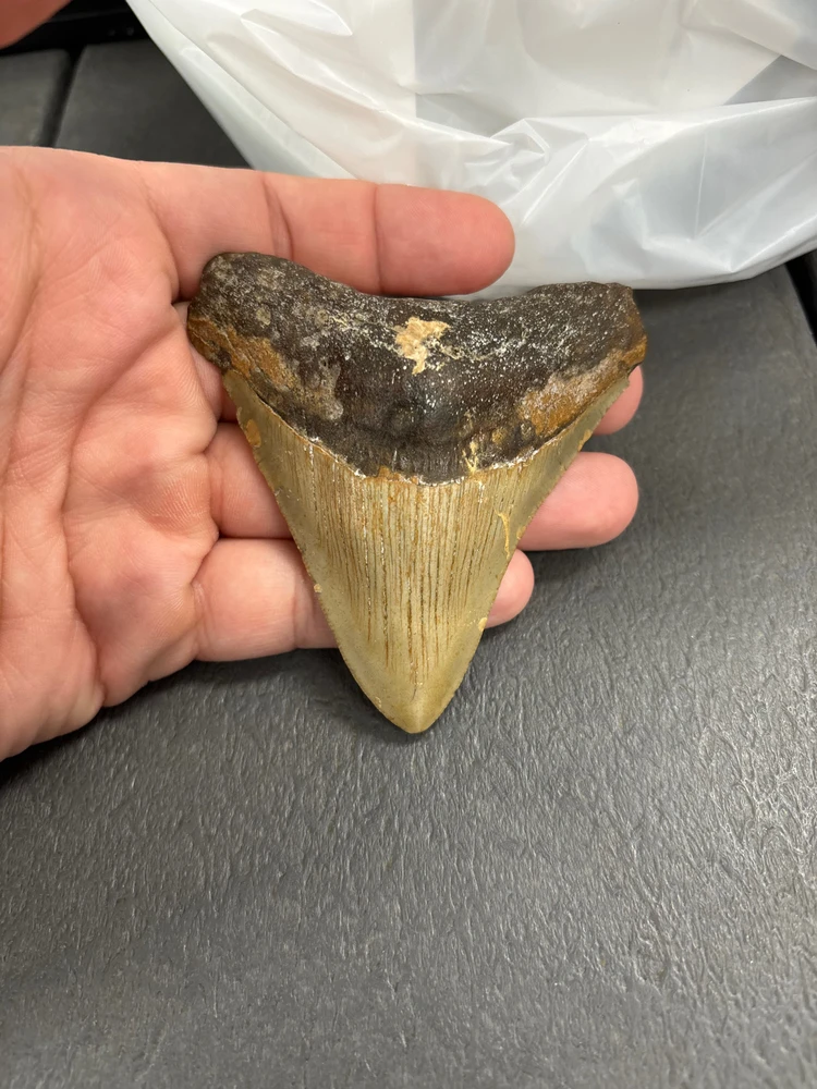 GIF uploaded by Liam