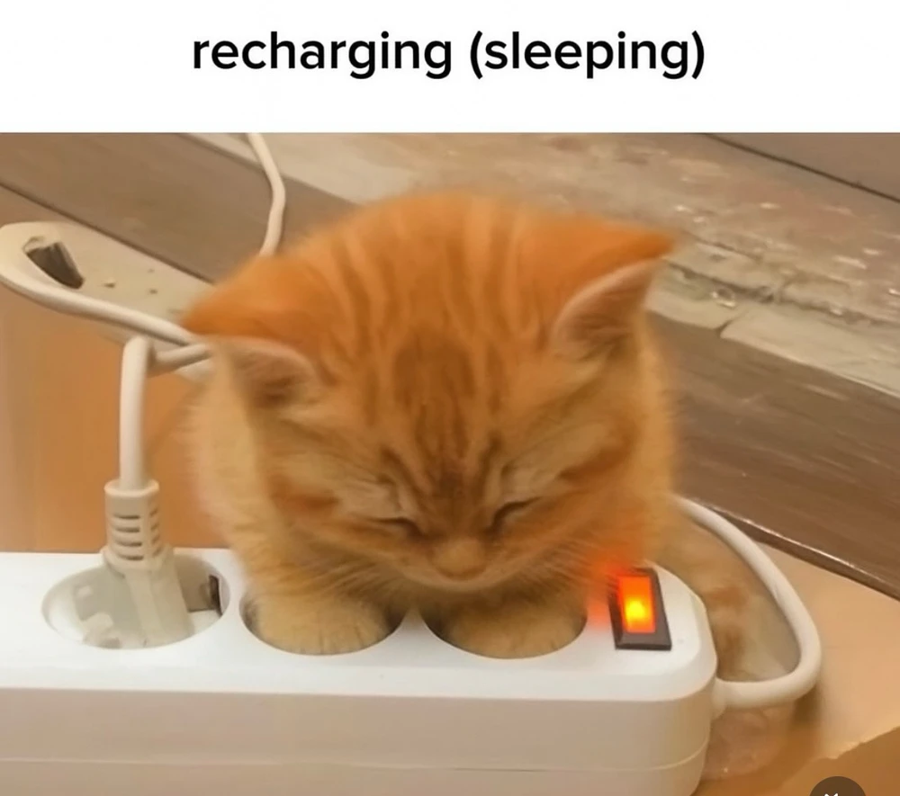 GIF uploaded by Luna