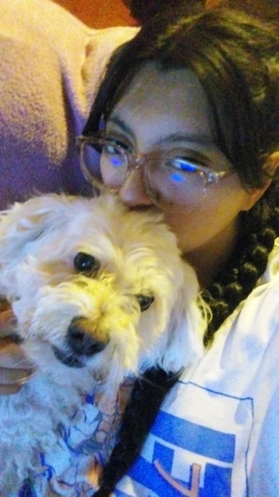 pq nadie presume a sus perros