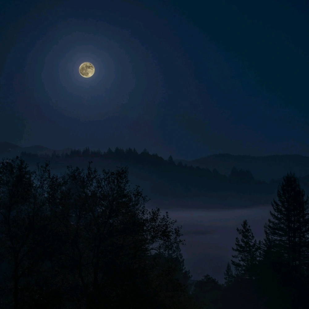GIF uploaded by Ludwig