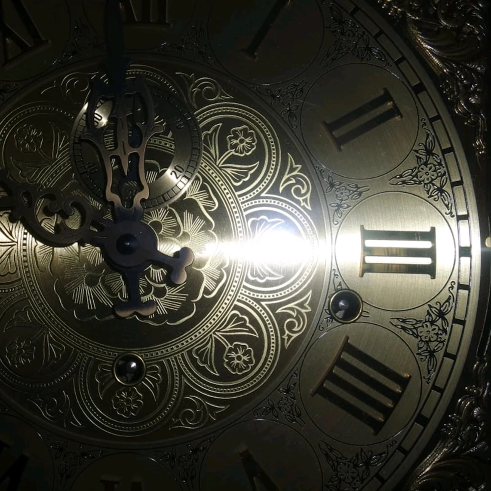 GIF uploaded by Ludwig