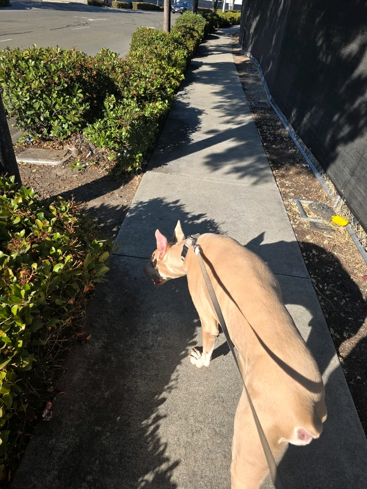 Image uploaded by LOVELLIE