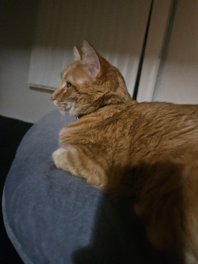 GIF uploaded by Emily