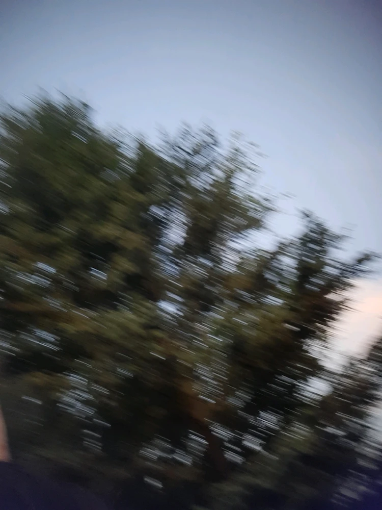 Image uploaded by Tyler