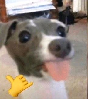 GIF uploaded by Franco