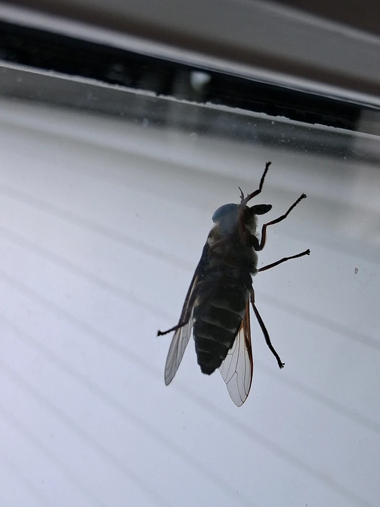 GIF subido por Everardo