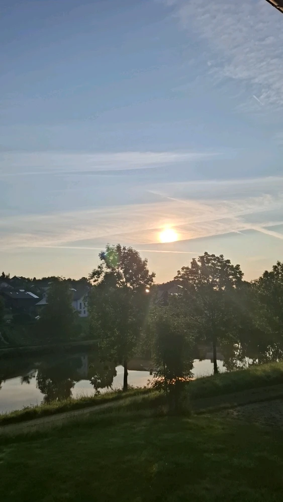 GIF hochgeladen von Theresa