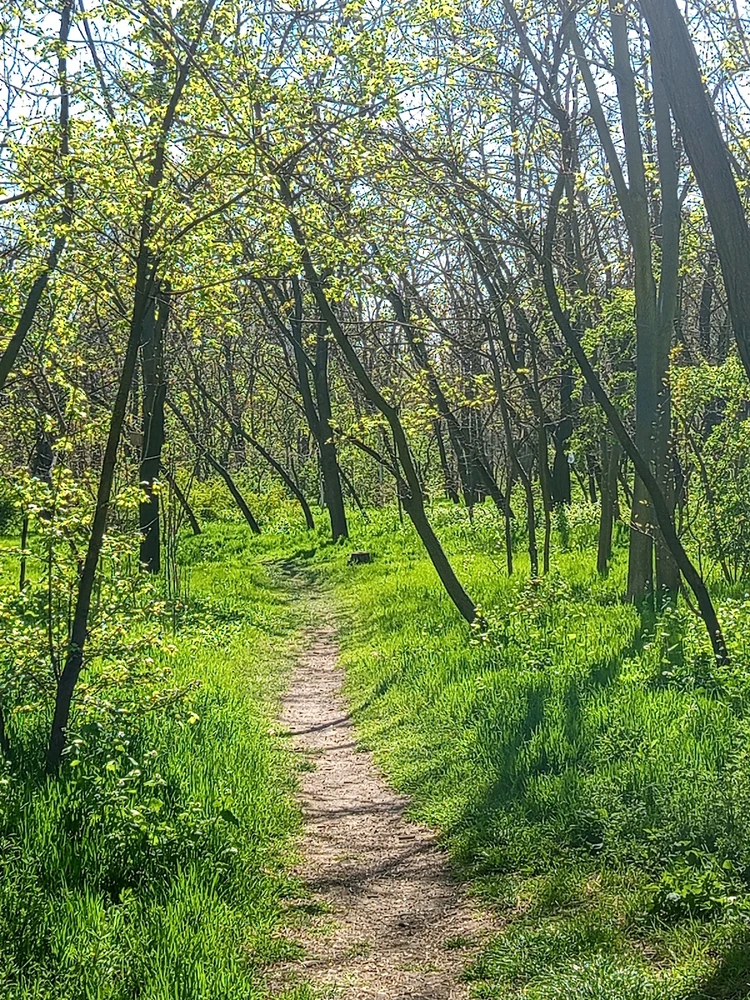 Фото загрузил Лера