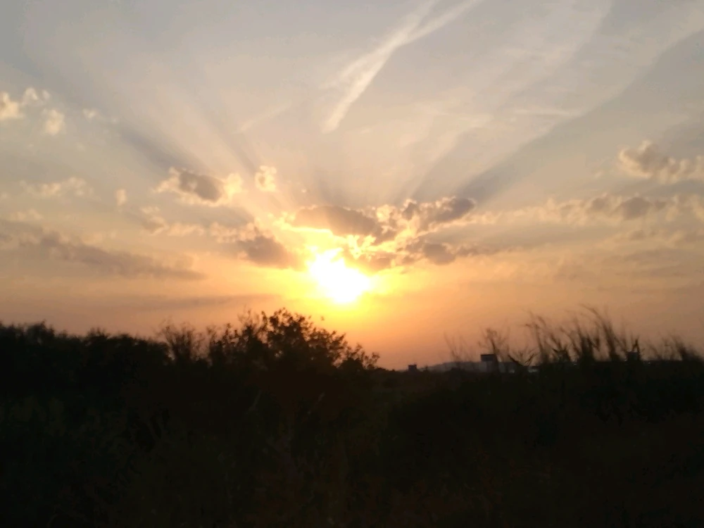 Imatge pujada per Robert