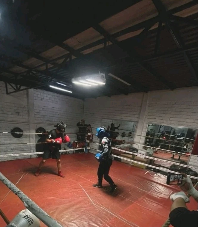 GIF uploaded by Angel Gabriel