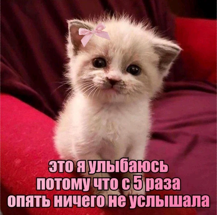 GIF загрузил Елизавета