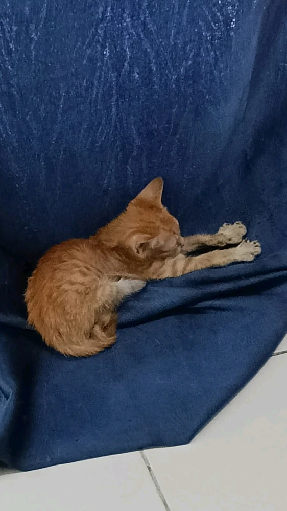 GIF uploaded by Jessie