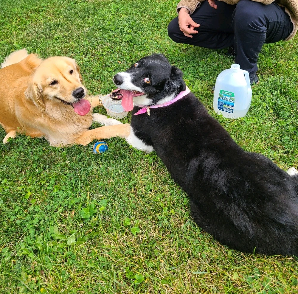 GIF uploaded by Josh