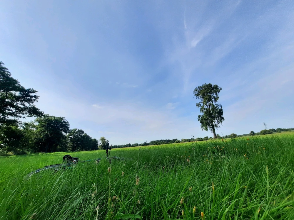 GIF dodany przez Sueñoelespacio