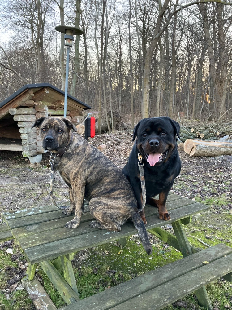 GIF uploadet af Alex